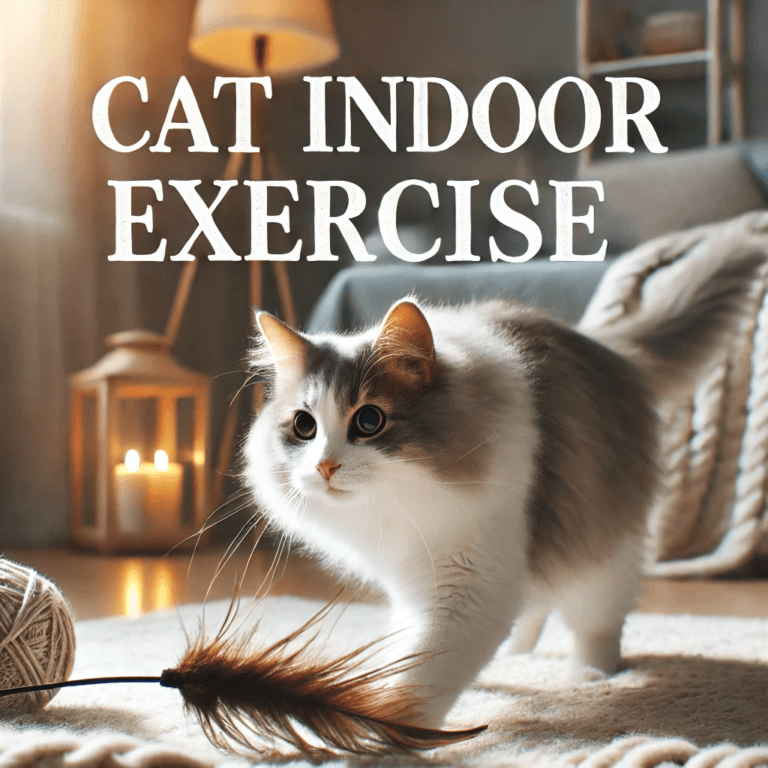 Read more about the article The Ultimate Guide to Cat Indoor Exercise: Keeping Your Feline Fit and Happy Indoors